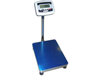 EWH Series Industrial Warehouse Scale